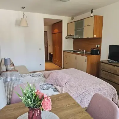 Cozy studio 125 in Villa Park