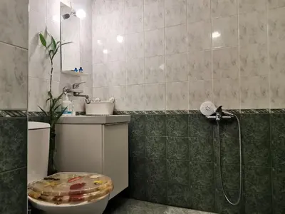 a bathroom with a toilet and a shower at Artsy Penthouse & mountain view in Sofia