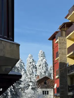 a view of snow covered trees from between buildings at Madzharovi Apartments in Borovets