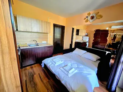 a bedroom with a large bed and a sink at Апартамент- Студио Кокетно in Sandanski