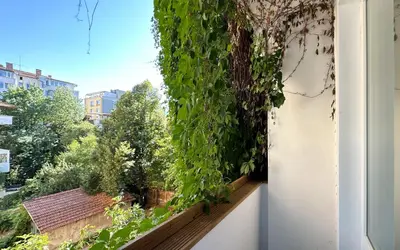 a window with a green plant growing on it at Charming Sofia Center Stay for 4 by Flat Mаnager in Sofia