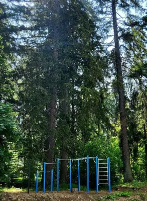 a blue rack in the middle of a forest at Stylish studio E61 in Borovets Gardens in Borovets