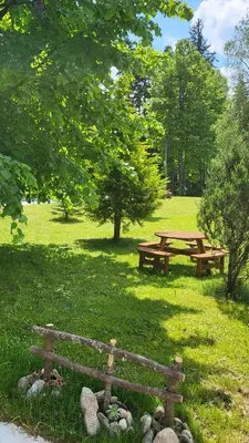 two picnic benches in a park with trees and grass at Stylish studio E61 in Borovets Gardens in Borovets
