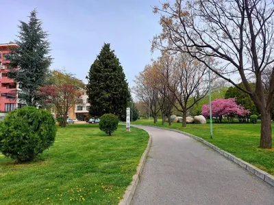a path in a park with trees and grass at Deva Apartments in Sandanski