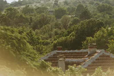 an image of a house with trees in the background at Villa YASNA - Art of slow living in Sredno Gradishte