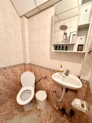 a bathroom with a toilet and a sink at The Central Suite in Petrich