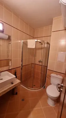 a bathroom with a shower and a toilet and a sink at Cedar Heights 1 Виванко А7 in Pamporovo