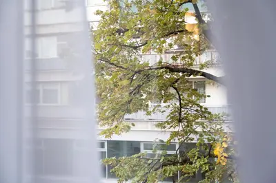 a tree in front of a tall building at FS Apartments Kapana Boutique Family Stay in Plovdiv