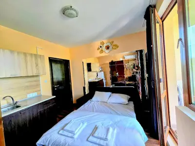 a bedroom with a bed and a sink in it at Apartment - Studio Cucetno in Sandanski