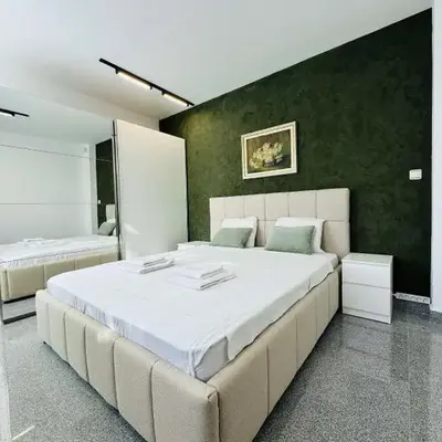 Green Accent Apartment