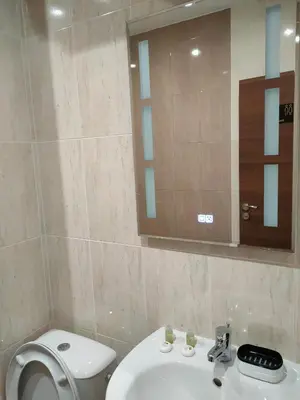 a bathroom with a toilet and a sink and a mirror at Apartment B34, complex Sokolitsite in Smolyan