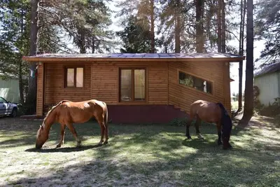 two horses grazing in front of a small house at Villa Margarita 1 in Semkovo