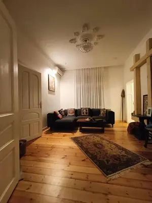 a living room with a couch and a rug at Cultural Monument residence in Doktorska Gradina in Sofia