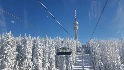 a ski lift with a bunch of snow covered trees at Maisonette on the slope in Manastir 3 in Pamporovo