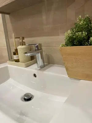 a bathroom sink with a faucet and a potted plant at Emlex Stylish Apartment in the Heart of Sofia in Sofia