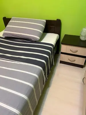 a bedroom with two beds and a green wall at Cozy apartment with balcony and panoramic view in Sofia