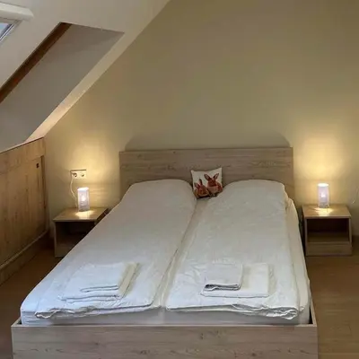 a bedroom with a large bed with two night stands at Zlati`s house 1 in Sofia