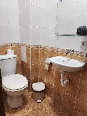 a bathroom with a toilet and a sink at Mountain Dream apartment near ski road in Bansko