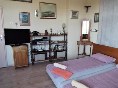 a living room with a bed and a television at Maritsa River Apartment in Plovdiv