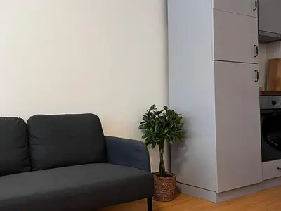 a living room with a couch and a plant at TwinStay #6 - Deluxe Super King Suite in Sofia