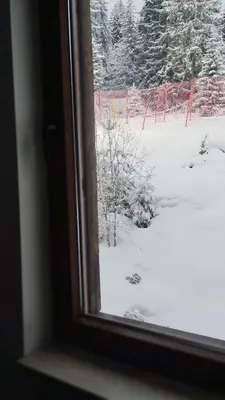 a window with a view of a snow covered yard at Гранд Манастира 4А30 Весела Ваканция in Pamporovo