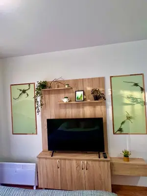 a living room with a television in a wooden entertainment center at Flat F6 Bansko Rentals in Bansko