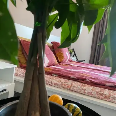 Apartment PS