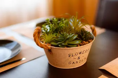 a potted plant sitting on top of a table at Cozy Central Apartment By NDK and Vitosha Blvd with Free secured parking and two terraces in Sofia
