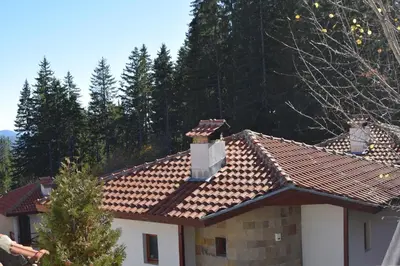 a house with a tiled roof with trees in the background at Villa Pamporovo in Pamporovo