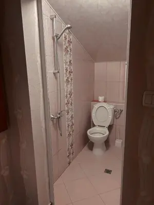 a small bathroom with a toilet and a shower at Къща за гости Орешака in Oreshak
