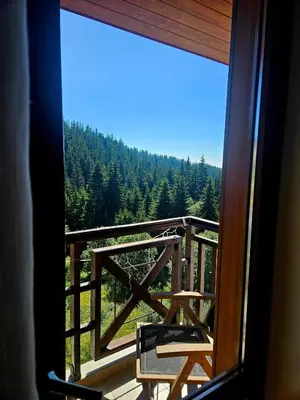 a balcony with a view of a forest of trees at Captain's Apartment in Pamporovo