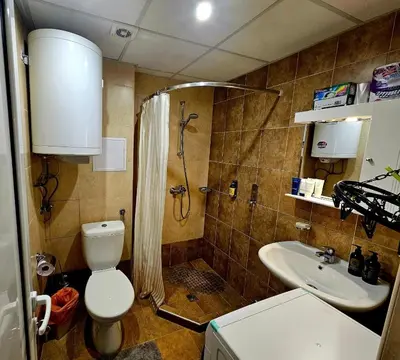 a bathroom with a shower and a toilet and a sink at Captain's Apartment in Pamporovo