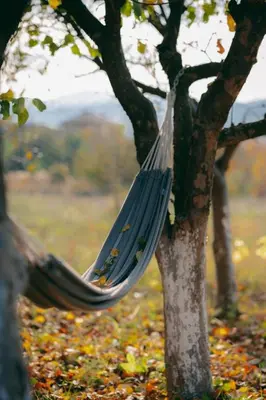 a hammock hanging from a tree in a field at Guest house by the river in Simitli