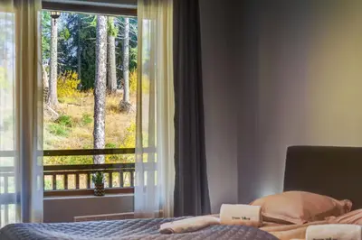 a bedroom with a bed in front of a window at Alpine Escape at Dream View in Pamporovo