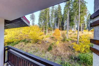 a balcony with a view of a forest at Alpine Escape at Dream View in Pamporovo