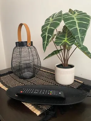a remote control and a potted plant on a table at Comfortable and affordable big studio in Bansko