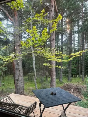 a picnic table and a bench on a wooden deck at Zarevo Glamping Forest Houses in Skobelevo