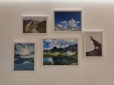a group of pictures hanging on a wall at Alpin Art Studio in Hotel Iceberg - Free Pool, Sauna and Fitness in Borovets