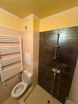 a small bathroom with a toilet and a shower at Ava Apartment Pamporovo in Pamporovo