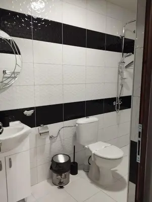 a bathroom with a toilet and a sink at Странската изба град Калофер in Kalofer