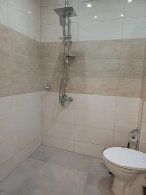a bathroom with a shower and a toilet at Ktt house in Plovdiv
