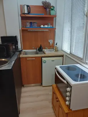 a small kitchen with a sink and a dishwasher at Ktt house in Plovdiv