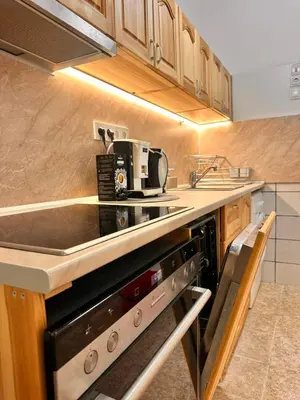 a kitchen with a stove and a counter top at Vinny's Place in Sofia
