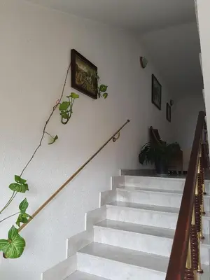 a stairway with a potted plant on the wall at Hotel Mishel in Kocherinovo
