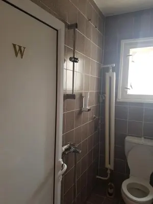 a bathroom with a toilet and a window at Hotel Mishel in Kocherinovo