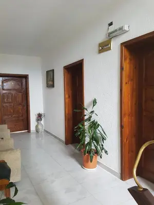 a hallway with two doors and a potted plant at Hotel Mishel in Kocherinovo