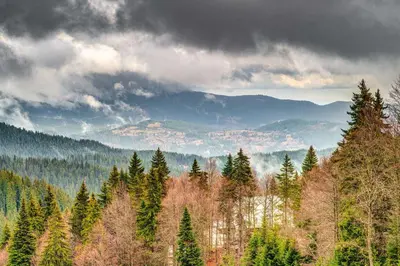 a view of a forest with trees and mountains at Winter Heaven Grand Monastery Pamporovo in Pamporovo