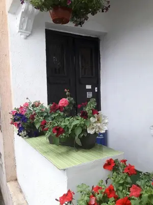 a bunch of flowers on a window sill with a door at Guest House The House in Plovdiv