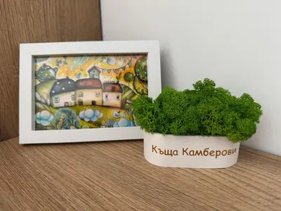 a plant in a white pot next to a picture at Къща Камберови град Калофер in Kalofer