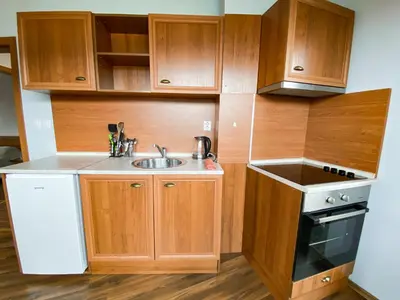 a small kitchen with wooden cabinets and a sink at Evergreen Private Apartment 303 in Bansko